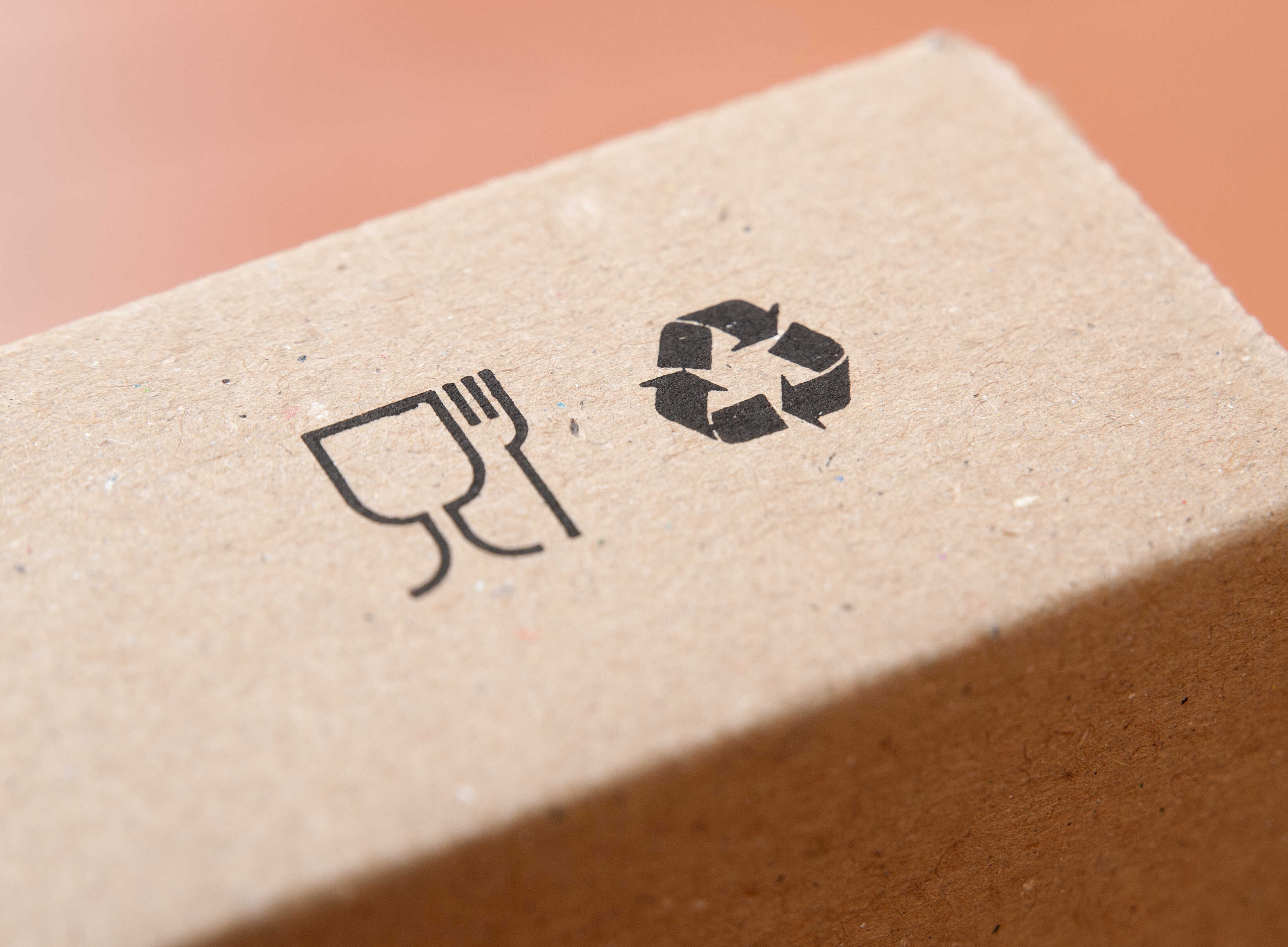 Sustainable Packaging Importance & Trends Showing Molded Fiber Packaging