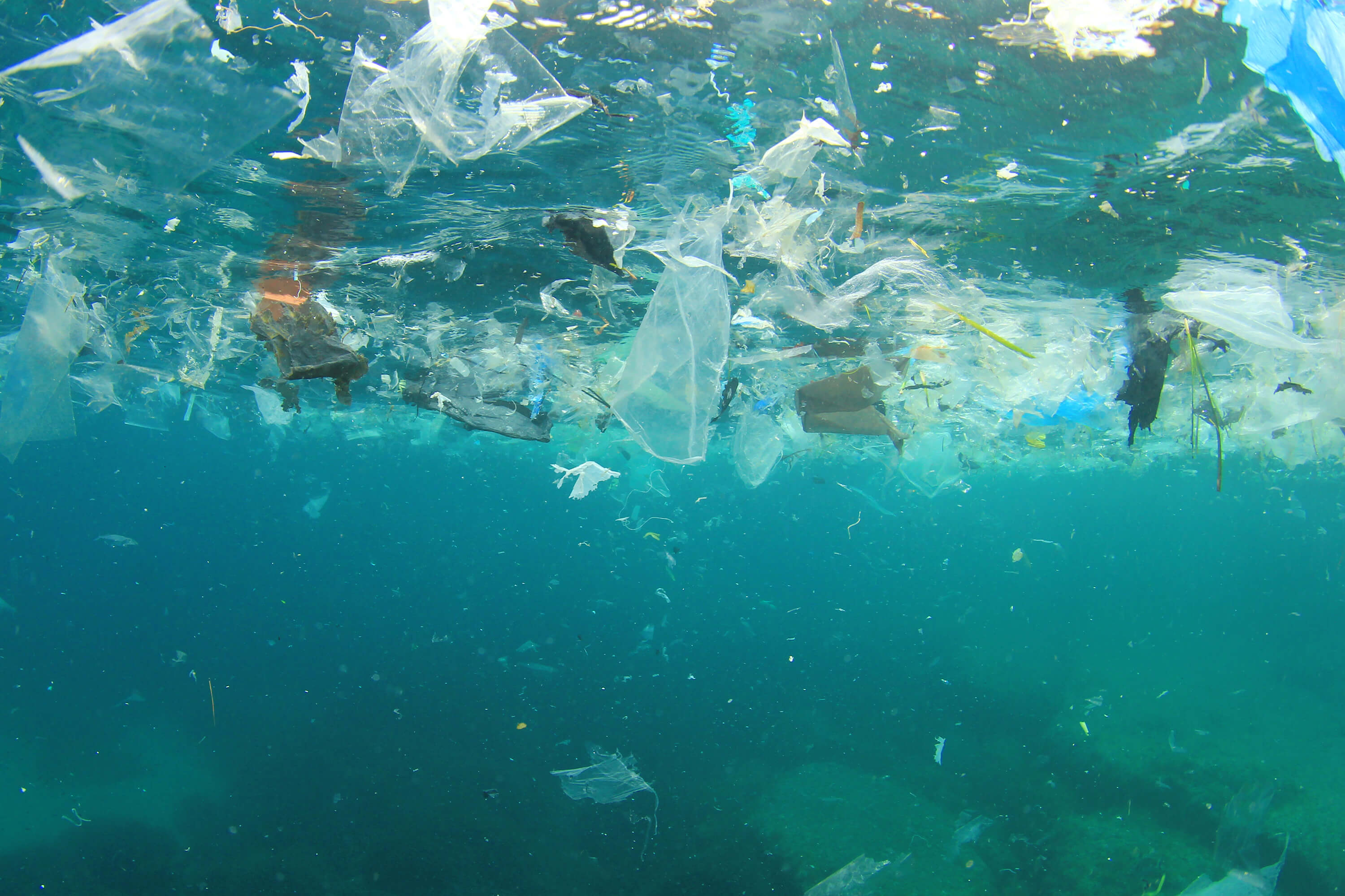 Plastic Waste in the Ocean