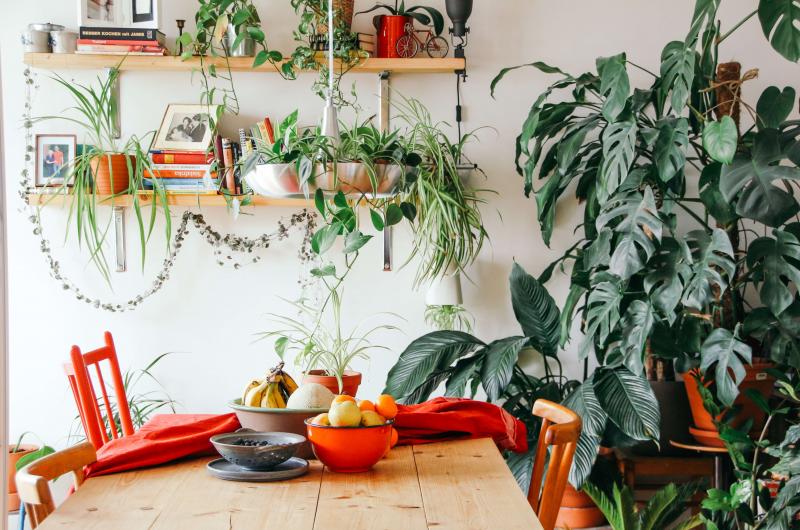 Green living 