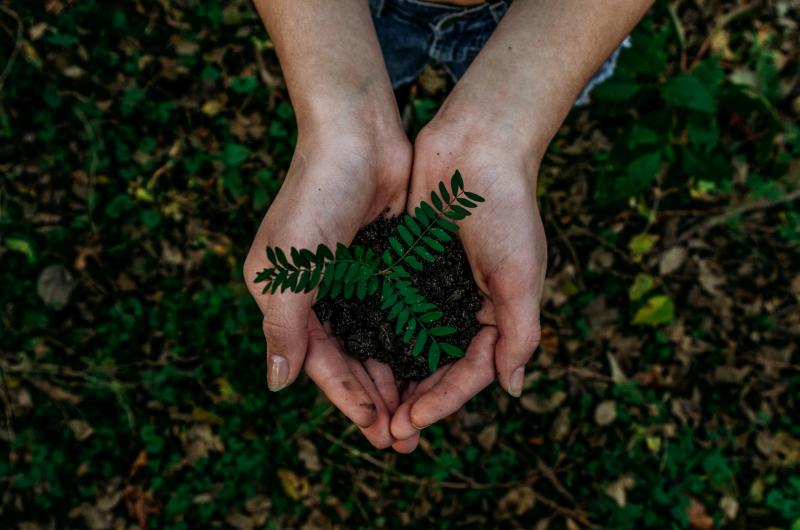 Sustainability