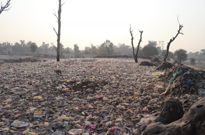 plastic waste litters a field