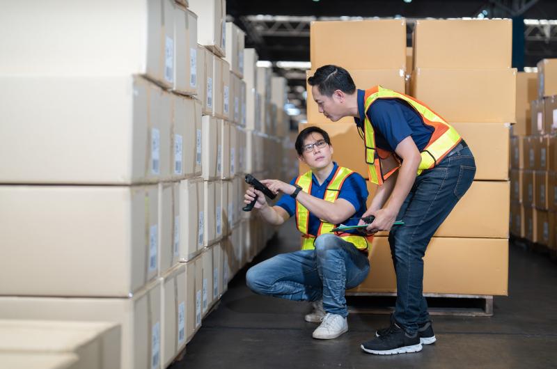 Manager and Staff Working in Warehouse 