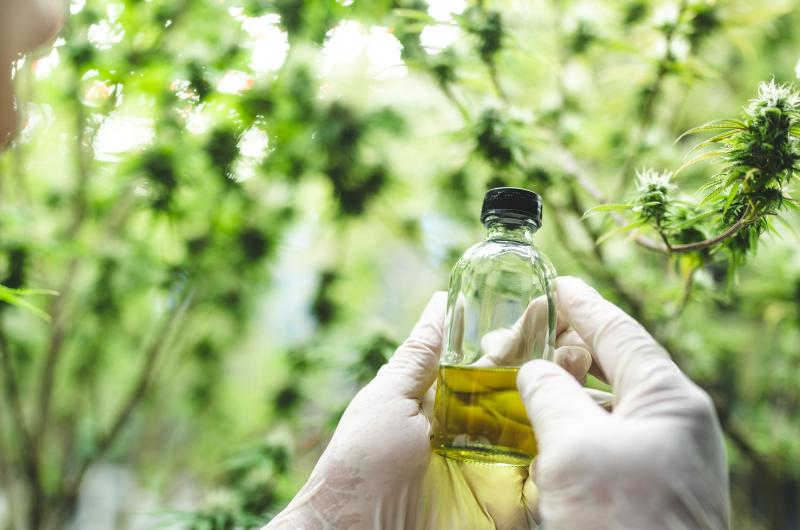 Scientist looking at extract in lab